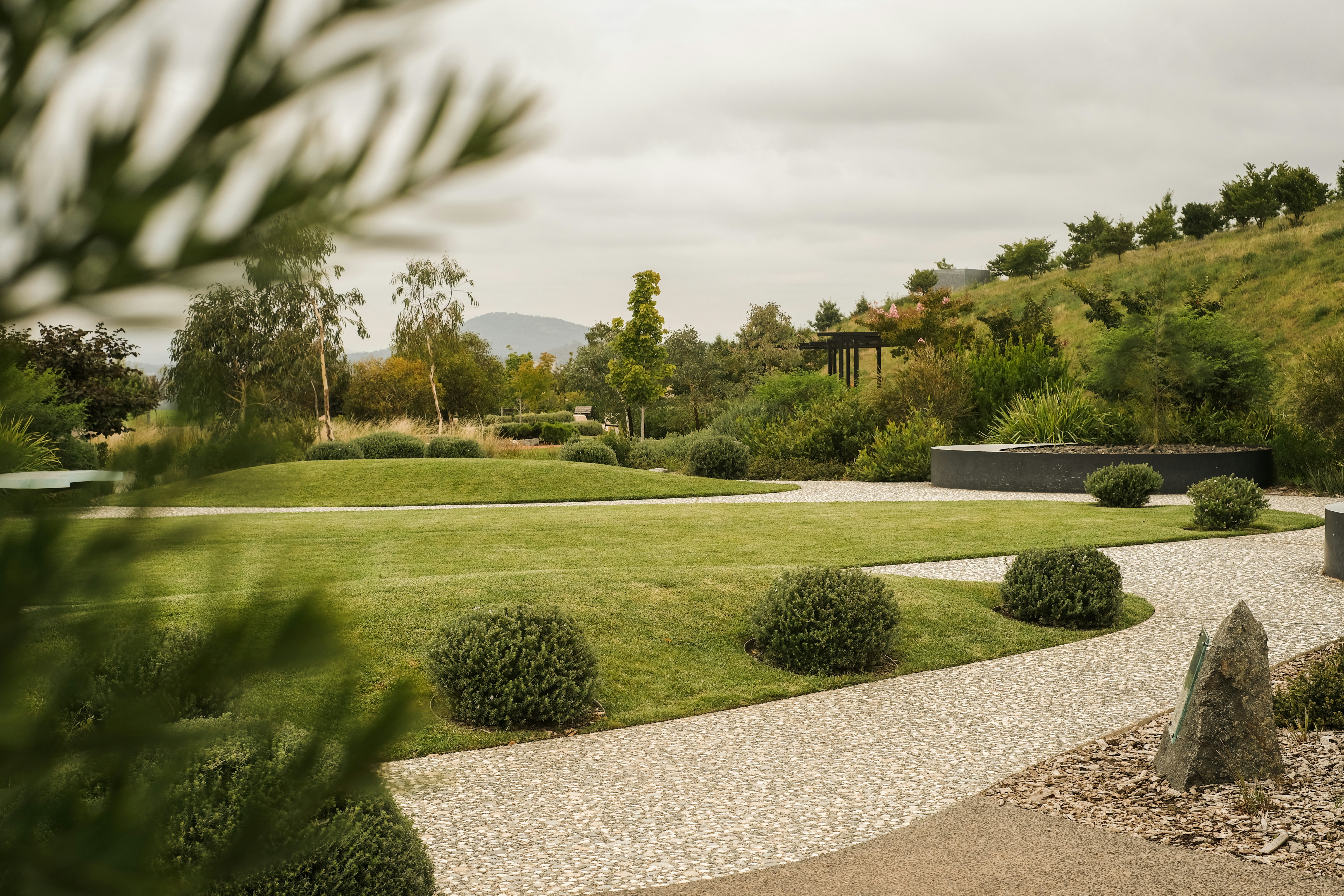 Professional landscaping design and maintenance