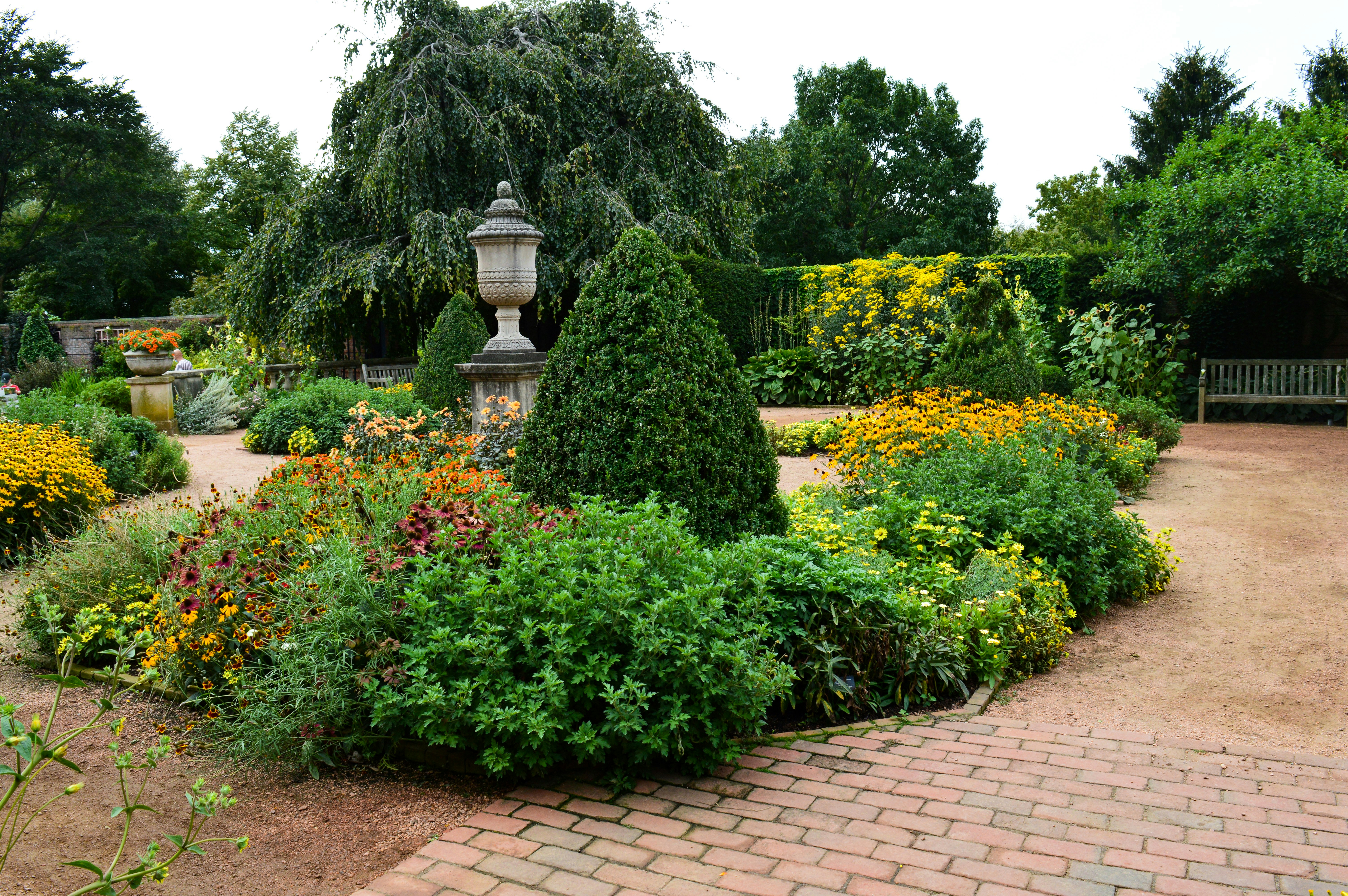 Professional landscape design with flowers and shrubs